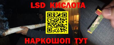 индика Лесосибирск