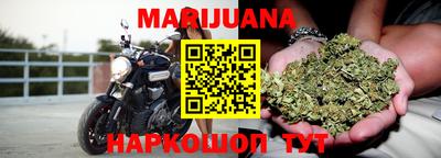 индика Лесосибирск