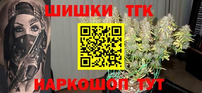 индика Лесосибирск