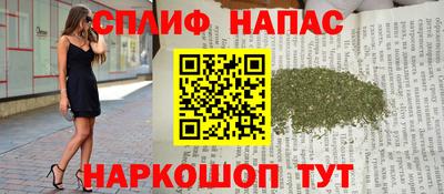 индика Лесосибирск