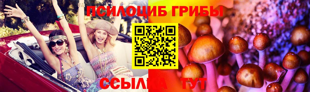 Галлюциногенные грибы Cubensis Димитровград