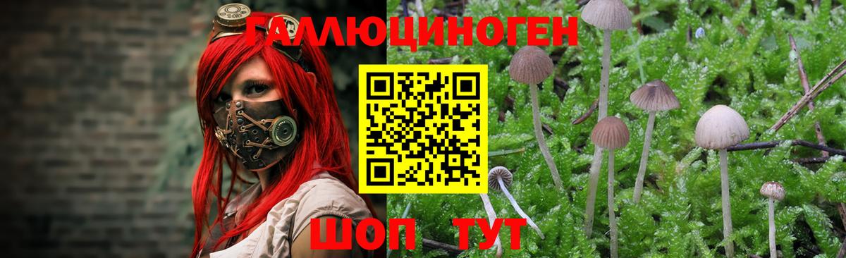 Галлюциногенные грибы MAGIC MUSHROOMS  Вход с VPN  Димитровград 